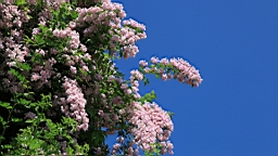 2016-05-23--03723.JPG