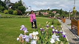 20160524_113148.jpg