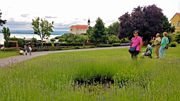 20160524_123325.jpg