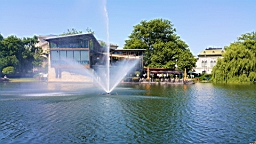 20160525_113319.jpg