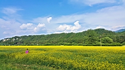 20160528_154657.jpg