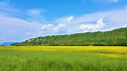 20160528_200349.jpg