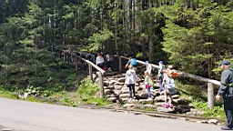 20160531_120224.jpg