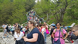 20160531_133958.jpg