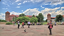 2016-06-01--04111.JPG