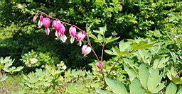 20160601_131554.jpg