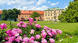 20160601_135013.jpg