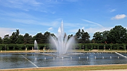 2016-06-02--04137.JPG