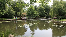 2016-06-02--04143.JPG