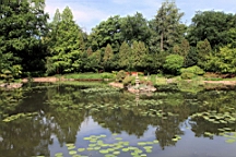 2016-06-02--04144.JPG