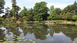 2016-06-02--04147.JPG
