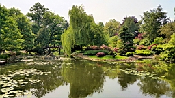 20160602_104502.jpg