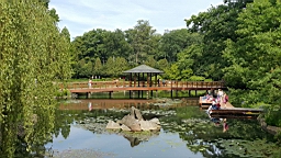 20160602_105510.jpg