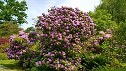 20160602_105635.jpg