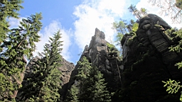 2016-06-03--04216.JPG