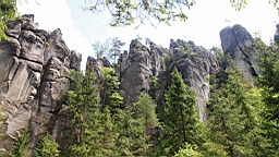 2016-06-03--04220.JPG
