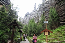 2016-06-03--04235.JPG
