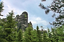2016-06-03--04237.JPG