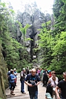 2016-06-04--04335.JPG