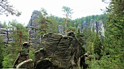 2016-06-04--04353.JPG