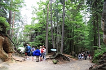 2016-06-04--04379.JPG