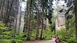 20160604_094918.jpg