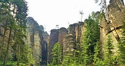 20160604_095016.jpg