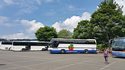 20160604_141141.jpg