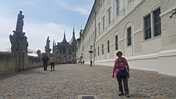 20160605_115202.jpg