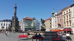 20160606_112201.jpg