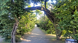 20160606_174306.jpg
