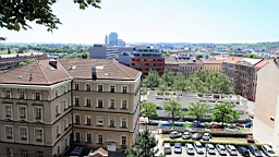 2016-06-07--04520.JPG