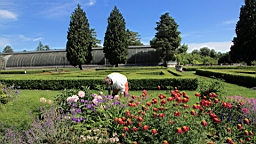 2016-06-08--04564.JPG