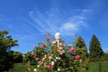 2016-06-08--04566.JPG