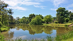 2016-06-08--04575.JPG