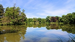 2016-06-08--04579.JPG