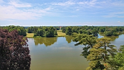 2016-06-08--04582.JPG