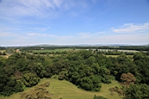 2016-06-08--04584.JPG