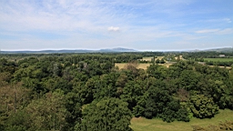 2016-06-08--04588.JPG