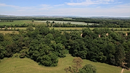 2016-06-08--04589.JPG