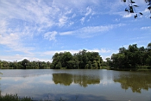 2016-06-08--04601.JPG