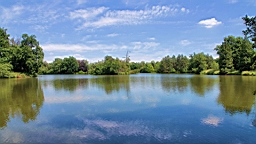 2016-06-08--04604.JPG