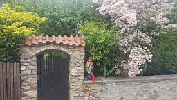 20160609_160915.jpg