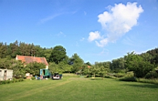 2016-06-10--04667.JPG