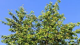 2016-06-10--04668.JPG