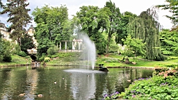 2016-06-11--04802.JPG