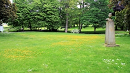 2016-06-11--04805.JPG