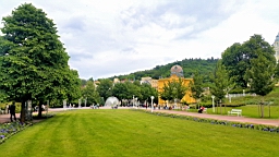 20160611_112155.jpg