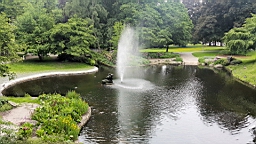 20160611_122114.jpg