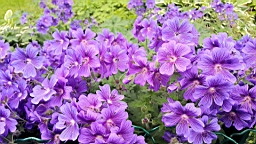 20160612_140842.jpg